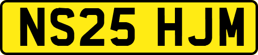 NS25HJM