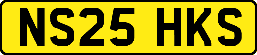 NS25HKS