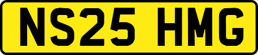 NS25HMG