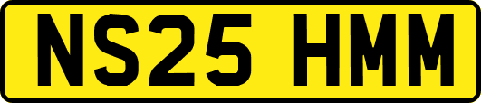 NS25HMM