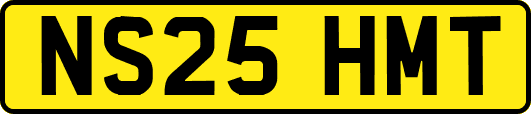 NS25HMT