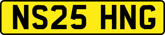 NS25HNG