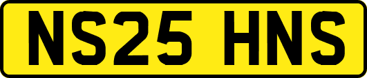 NS25HNS