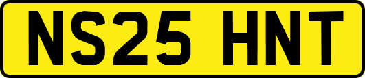 NS25HNT