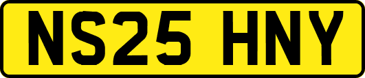 NS25HNY
