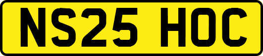 NS25HOC