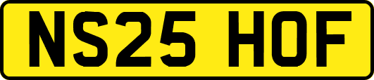 NS25HOF