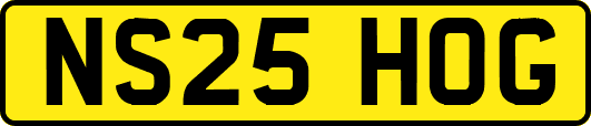 NS25HOG