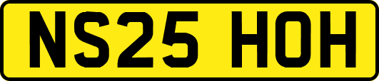 NS25HOH
