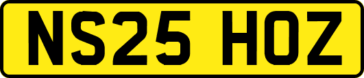 NS25HOZ