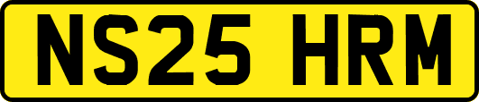 NS25HRM