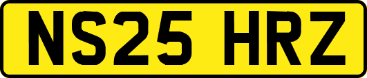 NS25HRZ