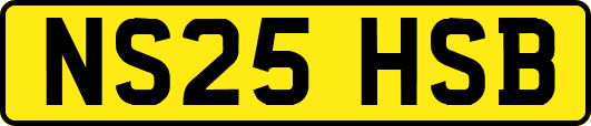 NS25HSB