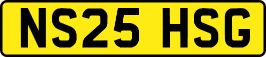 NS25HSG