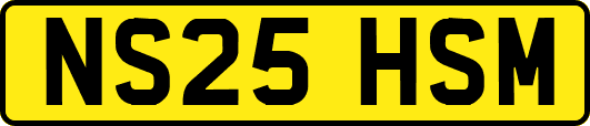 NS25HSM