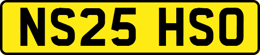 NS25HSO