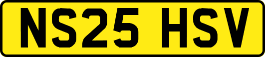 NS25HSV