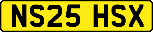 NS25HSX