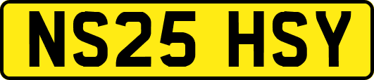 NS25HSY