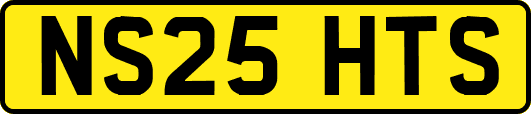 NS25HTS