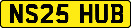 NS25HUB