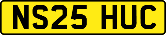 NS25HUC