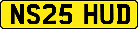 NS25HUD