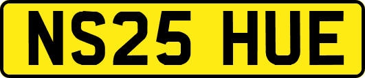NS25HUE