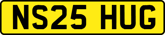 NS25HUG