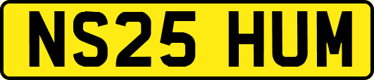 NS25HUM