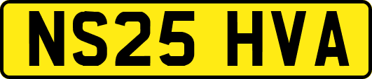 NS25HVA