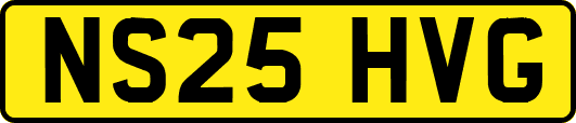 NS25HVG