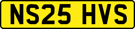 NS25HVS