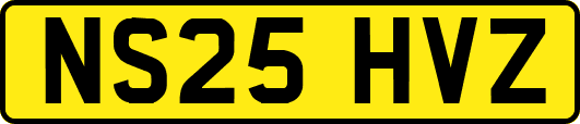 NS25HVZ