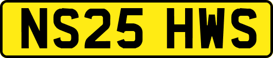 NS25HWS