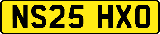NS25HXO