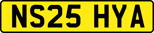 NS25HYA