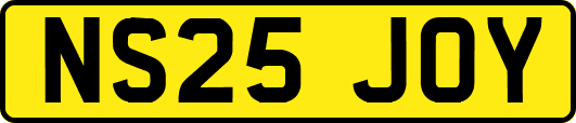 NS25JOY