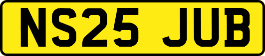 NS25JUB
