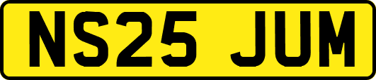 NS25JUM