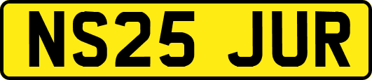 NS25JUR