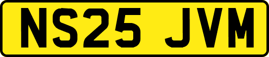 NS25JVM