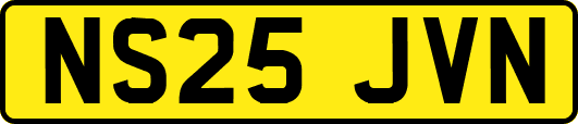 NS25JVN