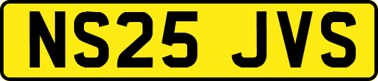 NS25JVS