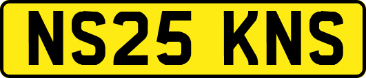 NS25KNS