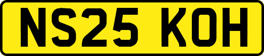 NS25KOH