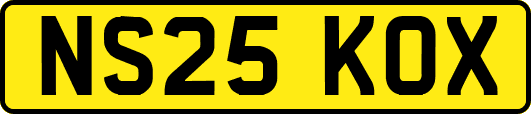 NS25KOX
