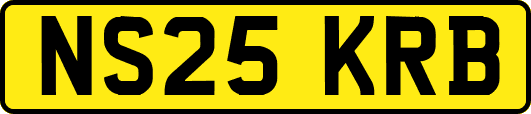NS25KRB