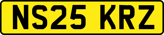 NS25KRZ