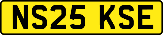 NS25KSE